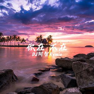 午夜国产无码在线观看
